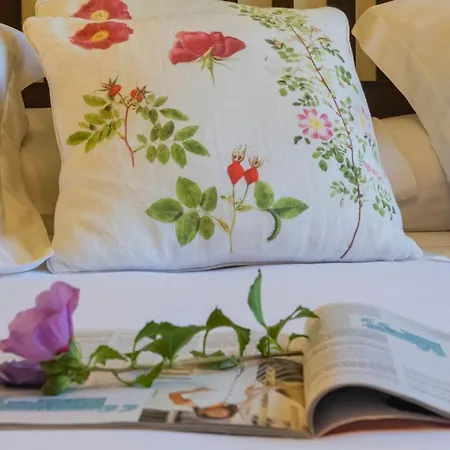 Can Mateu De La Creu - Little Rural House (adults Only) Kır Evi Cruïlles